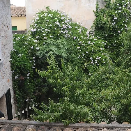Hotel Petit Sa Placa Petra (Mallorca)