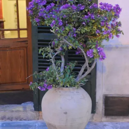 Hotel Petit Sa Placa Petra (Mallorca)
